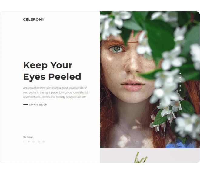 Celerony design sablon előnézete